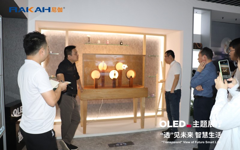 OLED主題展廳